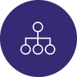 Custom Image
